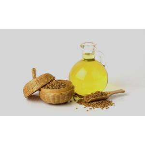 Aceite portador de fenogreco puro 100%, aceite portador de fenogreco a granel al por mayor, aceite portador de fenogreco natural y puro - Product Image 1