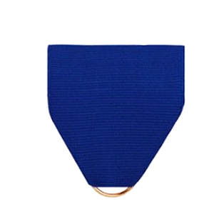 2025 Basic Camp Bold Challenge Instructor Award <b>Ribbon</b> Drape - Product Image 2