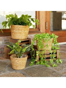 Elegant Rattan and Iron <b>Planter</b> <b>Pot</b> Display Rack for Home Indoor and Outdoor Use Floor Usage Plant Stand for Planting - Product Image 5