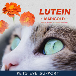 <span class=keywords><strong>Gotas</strong></span> <span class=keywords><strong>para</strong></span> los ojos <span class=keywords><strong>para</strong></span> perros en PET, <span class=keywords><strong>gotas</strong></span> <span class=keywords><strong>para</strong></span> los ojos <span class=keywords><strong>para</strong></span> perros y gatos, tratamiento de infección <span class=keywords><strong>ocular</strong></span> recomendado por el veterinario <span class=keywords><strong>para</strong></span> calmar la infección, alivio de alergias - Product Image 3