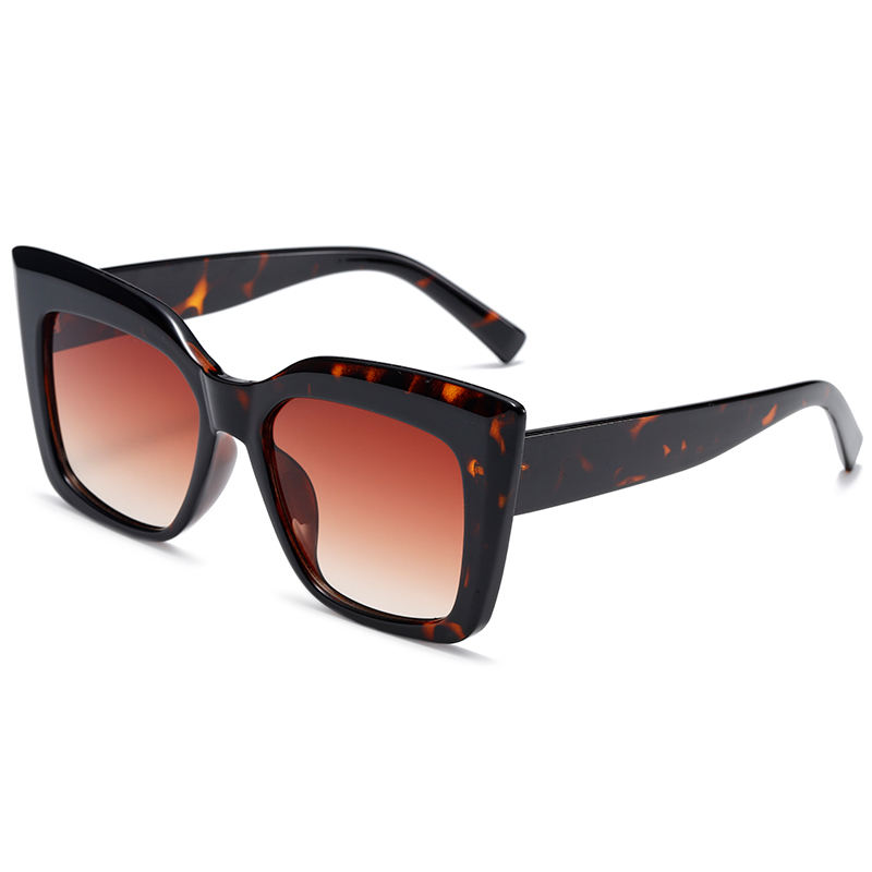 C6: Tortoise/ Brown Gradient