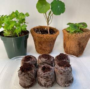 Coco Grow Discs Coir pellets Composite Plant Cover en Beige/ Natural Coir Fiber Pellet de 99 GD Vietnam - Product Image 3