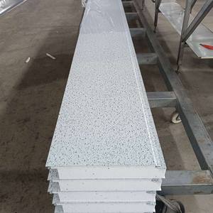 Panel Sándwich de 16 mm para Fachada Exterior de Edificios/Paredes Divisorias, Panel de Acero Ligero Aislado y Grabado para Talleres y Hoteles - Product Image 1