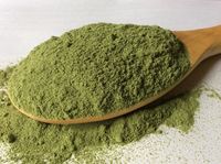 Produit de feuilles de Pandan biologique Taille 1 kilogramme Vente en gros de haute qualité Extrait de feuilles de Neem biologique