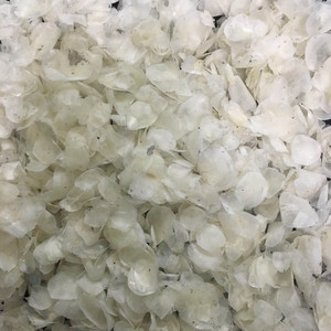 Báscula de pescado seco y sin procesar, para producción de colágeno, cantidad natural a granel, de fábrica de Vietnam - Product Image 5