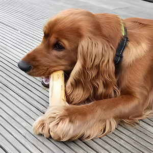 Masticables de Madera de Café Natural - Duraderos, Seguros y Asequibles - Product Image 6