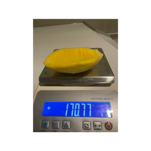 Dados de mango congelados IQF de Vietnam, ideales para bocadillos saludables, batidos, helados y productos de panadería exportados a nivel mundial - Product Image 6