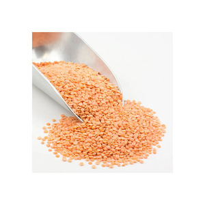 Lentilles rouges de haute pureté, approvisionnement en vrac, légumineuses de qualité supérieure, prix usine, exportation - Product Image 2