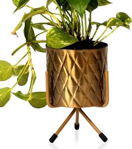 Jardinera decorativa chapada en oro cilíndrica redonda de metal personalizable y elegante con diseño moderno de acabado de alta calidad - Product Image 6