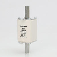 Fusibles céramiques NT1 pour la protection des dispositifs semi-conducteurs, fusible AC 800V avec capacité de coupure de 50kA, indication de soufflage rapide