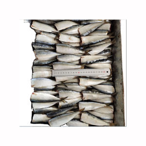 Sardinas frescas a precio de fábrica disponibles para compradores globales y comerciantes de mariscos - Product Image 1