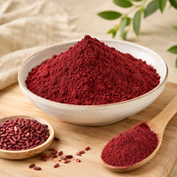 Poudre de Riz Rouge Fermenté Naturel, Extrait de Monascus de Qualité Alimentaire, Marque Privée, Vente en Gros, Fournisseur d'Usine en Vrac