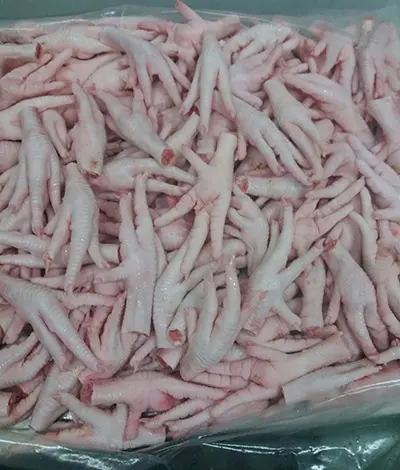 Frozen Chicken Feet Chicken Paws for Sale Bulk Poland Top Box Style Crab Trans Mix Packaging Feature Weight Sugar Fat Shelf Wing