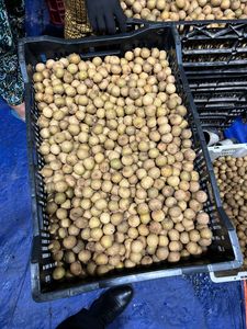 Longan Fresco de Origen Vietnamita de Primera Calidad, Sabor Dulce, Rico en Vitaminas para Exportación y Mercados Internacionales - Product Image 5