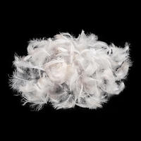 Plumes de canard blanches lavées de qualité supérieure sélectionnées pour la literie et les textiles de maison - OEM et export en gros disponibles