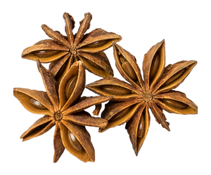 Venta al por mayor de semillas secas de anís estrellado rojo anís tamizado ramas secas estilo fresco entero para uso alimentario - Product Image 6