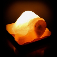 Lampe de table en sel rose de l'Himalaya sculpté, 3-4 kg, forme de tortue, lumière blanc chaud, base en bois, ampoule incandescente 15 W, classe énergétique
