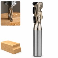 Fraise à défoncer ODM/OEM à bon prix, 2 dents, 25° de hélice, HRC55, en carbure non revêtu, 20 mm, pour le travail du bois, le panneau aggloméré et le bois massif