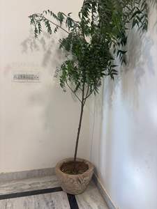 Macetas de Piedra Antiguas con Altura Ajustable, Muebles de Exterior para Sala de Estar, Macetas para Exteriores - Product Image 3