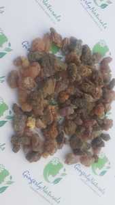 Incienso de resina Boswellia de calidad pura de la India - Product Image 4