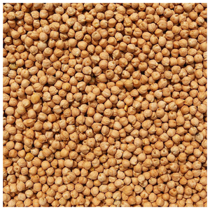 Venta al por mayor de garbanzos Kabuli de calidad alimentaria saludables y deliciosos - Product Image 6