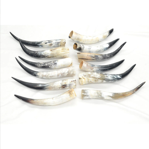 Cuerno de búfalo natural hecho a medida que sopla animales Cuerno real pulido para funciones religiosas y sopla cuerno de vaca - Product Image 5
