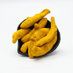 Doigt de curcuma séché frais brut traité pour la cuisine et l'Ayurveda Produits de santé naturels disponibles en vrac - Product Image 4