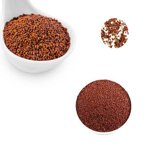 Cress | สมุนไพรฟาร์มสด | สมุนไพรที่กินได้สะอาด - Product Image 1