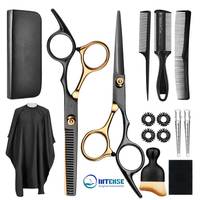Kit professionnel de 15 ciseaux de coiffure droits et affûtés en acier inoxydable 440C pour droitiers, avec ciseaux à effiler INTENSE