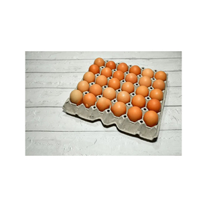 Huevos marrones disponibles a precio económico para compras al por mayor con stock confiable - Product Image 4