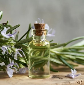 Huile essentielle de romarin pur biologique à 100% de marque privée pour la croissance des cheveux bouclés, aromathérapie, lissage, vente en gros en Inde - Product Image 4