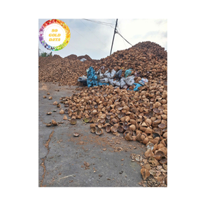 Coquille de noix de coco matériau dur naturel du Vietnam largement utilisé pour l'artisanat décoration de la maison et des produits durables - Product Image 3