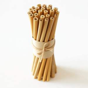 Pajitas de Bambú Reutilizables Ecológicas al por Mayor, Personaliza el Logotipo y el Empaque con Buen Precio por ECO2GO VIETNAM - Product Image 1