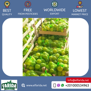 Lima fresca de alta calidad, deliciosa fruta cítrica, precio razonable, suministro al por mayor de Egipto, origen de exportación - Product Image 6