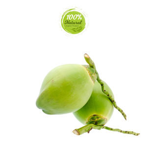 ผลิตภัณฑ์ทางการเกษตรสดชื่นมะพร้าวสดจากเวียดนาม - Product Image 2