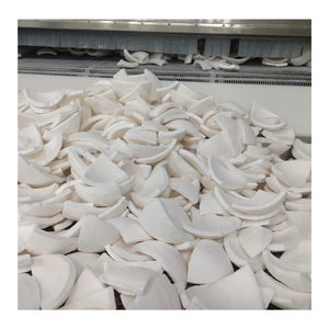 IQF เนื้อมะพร้าวอ่อนแบบเวียดนามชิ้นมะพร้าวแช่แข็งเนื้อมะพร้าวแช่แข็งแบบเก่า/เย็นแช่แข็งพร้อมบรรจุภัณฑ์แบบกำหนดเอง - Product Image 5