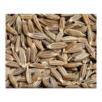 Graines de cumin séchées 100% naturelles – Épice entière pure pour usage culinaire, broyage et mélange
