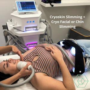 <span class=keywords><strong>Nouvelle</strong></span> arrivée, machine de cryo-facial Cryoskin Revolution pour lisser la cellulite - Product Image 2