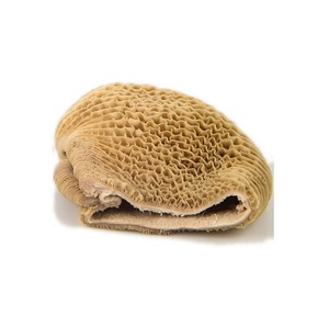 Tripes de bœuf congelées, estomac de vache congelé, produits de bœuf congelés - Product Image 6