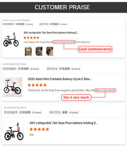 Vélo électrique de montagne pour adultes avec moteur sans balais et batterie au lithium 250W 36V Roues de 26 pouces Fabriqué en Chine - Product Image 5