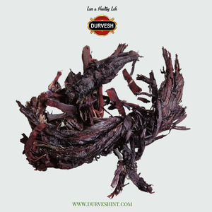 2025 Venta caliente Grado A1 Alkanet Roots Ratanjot Roots Alkanna Tinctoria Mejor calidad Exportación seca de Pakistán - Product Image 1