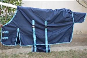 Navy Winter Horse Rug with Sky Blue Straps Cotton Filled - Product Image 5