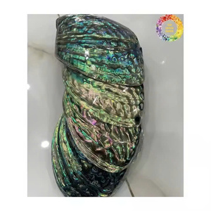 Venta al por mayor de conchas de abulón para decoración de Vietnam, conchas marinas crudas de nácar pulidas de dos caras - Product Image 4