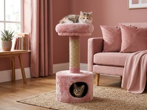 บ้านแมวฟีโอน่า เพ็ทัล พิงค์ สนั๊กเกิล รีทรีท - Product Image 5