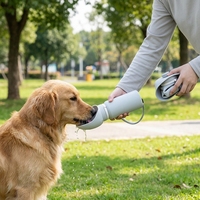 Gourde de voyage pliable pour chien, en silicone de qualité alimentaire, pour l'extérieur