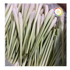 ตะไคร้แช่แข็งจากเวียดนามที่มีรสชาติบริสุทธิ์และมีกลิ่นหอมสูงกระบวนการตัด iqf ถูกสุขอนามัยและปราศจากสารกันบูด - Product Image 6