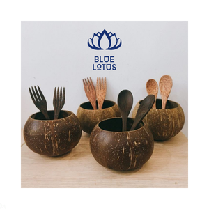 BOL EN NOIX DE COCO DU VIETNAM PRODUIT ECO FAIT MAIN POUR LA CUISINE À MANGER ET LA DÉCORATION DE STYLE TROPICAL - Product Image 1