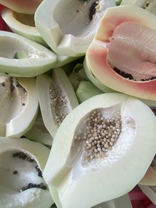 Papaye séchée douce de qualité à l'exportation 100% d'ingrédients naturels idéaux pour un mode de vie sain et un approvisionnement en vrac - Product Image 6