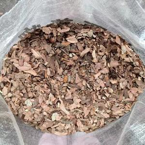 Virutas de madera de eucalipto CYGNET 4,8mm 28,6mm no menos de 90% UG - Product Image 4