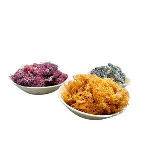 ¡El precio más barato! ¡Suministro a granel crudo y secado al sol de musgo marino irlandés de primera calidad y descuento especial para compradores a granel! - Product Image 3